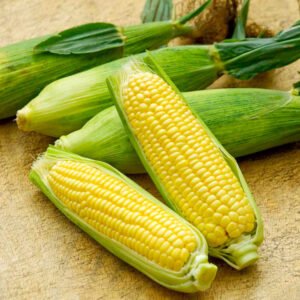 Sweetcorn (10kg pack)